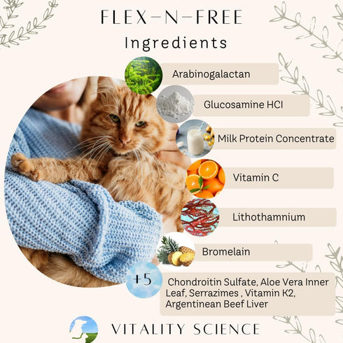 Flex N Free for Dogs, 120g - Promotes Healthy Bones & Joints, Relieves Stiffness, Reduces Inflammation Naturally