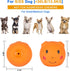 Squeaky Dog Toy, Latex Toys for Puppy and Small Dogs, Piggy Face Squeaky Balls Rubber Soft Chewing Durable Fetch Play