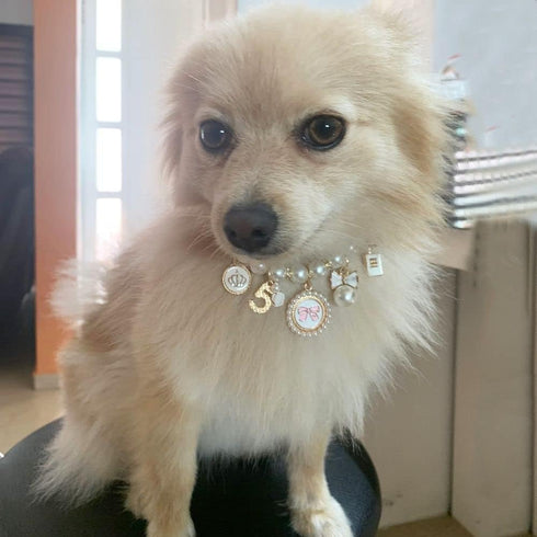1Pc Pink Medium Dog Pearl Collar, Cute Bow Necklace, Pet Accessories for Dog Cat Collars, Harnesses and Leashes (M)