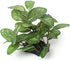 2 Piece Realistic Faux Silk Aquarium Ficus Tree, Small Betta Fish Tank Grass Fake Plastic Decorations