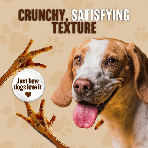 The Primal Theory 100% 24 Count Dehydrated Chicken Feet for Dogs - Single Ingredient Dog Chews - Made in USA