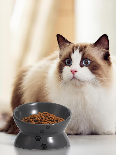 Y YHY Raised Cat Food Bowl, Ceramic Elevated Dish with Title Angle to Protect Cat's Spine, Anti Vomiting, Grey