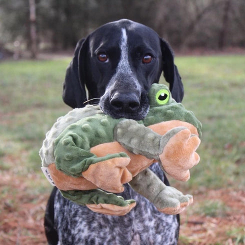 Animated Plush Frog Toy for Dogs - Tall Tails Moving Dog Toy