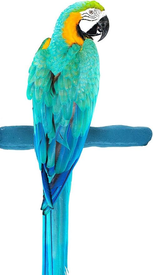 Sweet Feet and Beak Comfort Grip Safety Perch for Bird Cages -