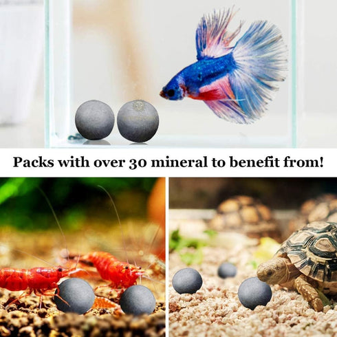 SunGrow Snail and Crayfish Energy Balls, Calcium-Rich Gray Pearls for Invertebrates, 10-Pieces per Pack
