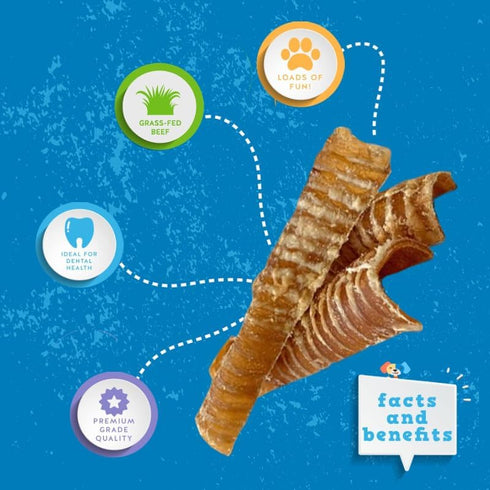 6" (10 Pack) Jack&Pup Flat Beef Trachea for Dogs | All Natural Single Ingredient Dog Treat Dog Trachea Chews | Savory