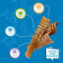 6" (10 Pack) Jack&Pup Flat Beef Trachea for Dogs | All Natural Single Ingredient Dog Treat Dog Trachea Chews | Savory