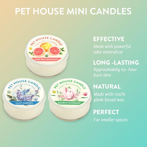 One Fur All Pet House Mini Candles - Natural Soy Wax, Dog and Cat Friendly Scented Candles, Spring Mix Pack of 3
