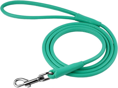 CollarDirect Rolled Leather Dog Leash 4ft, Soft Padded Training Lead 6ft for Small Medium Large Dogs