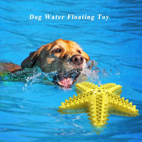 Dog Chew Toys, Squeaky Water Floating Starfish Toy, Natural Tooth Brush for Small Medium Dogs, Yellow