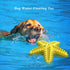 Dog Chew Toys, Squeaky Water Floating Starfish Toy, Natural Tooth Brush for Small Medium Dogs, Yellow