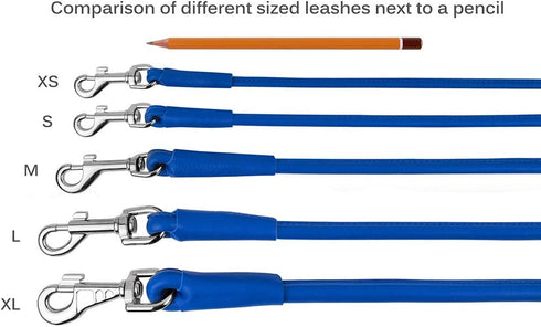 CollarDirect Rolled Leather Dog Leash 4ft, Soft Padded Training Lead 6ft for Small Medium Large Dogs