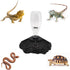 SLSON Reptile Water Feeder, Automatic Water Dispenser 13.5Oz for Turtle, Bearded Dragons, Lizards, Geckos in Terrarium