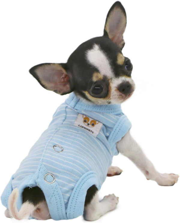 LOPHIPETS Girl Dog Shirts Recovery Suit Pajamas for Small Teacup Dogs, Cambridge Blue Strips/XXS