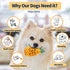 Upgrade Tough Dog Toys for Aggressive Chewers, Indestructible Interactive Chew Toys for Large Small Dogs