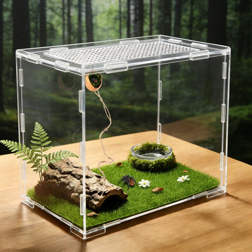 Lovarisse Insects(Wood,Size:4.5 3cm) Walnut Skin Spider Shelter,Magnetic Jumping Spider Habitat,Handmade Climbing