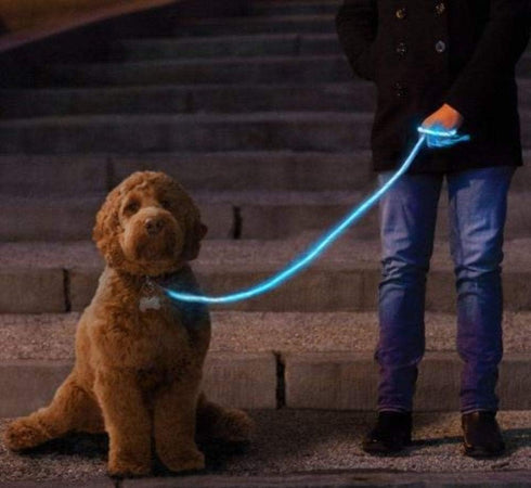 Nitey Leash - LED Glow in The Dark Pet Dog Leash (Blue) 5 Ft