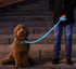 Nitey Leash - LED Glow in The Dark Pet Dog Leash (Blue) 5 Ft