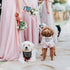 Wedding Dog Bandanas, My Humans are Getting Married, Dog Engagement Wedding Party Photo Prop Bandana, Small