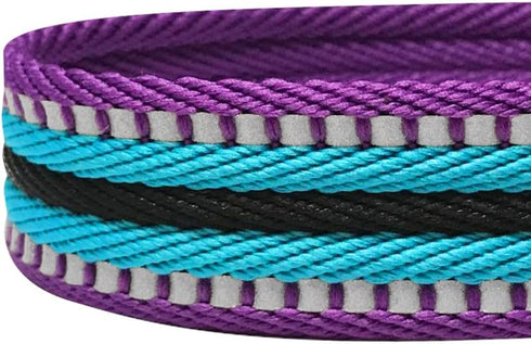 Blueberry Pet Dog Leash, 3M Reflective Adjustable Dog Seat Belt for Car, 1-Inch Width, Violet & River Blue