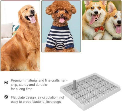 14.96X11.81X2.55 Inches TOYANDONA Dog Potty Toilet Training Tray Splashproof Plastic Dog Urine Potty Tray with Raised