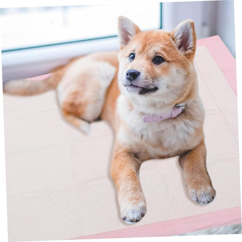 60x60cm 40 Yardwe Thickened PET Training Pads Large Pieces Water Absorbent Dog Diapers Leakproof Puppy Pads for Indoor
