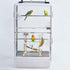 kathson Parrot Playstand Bird Playground Conures Play Stand Wood Perch Gym Playpen Ladder Parakeets Cage Accessories
