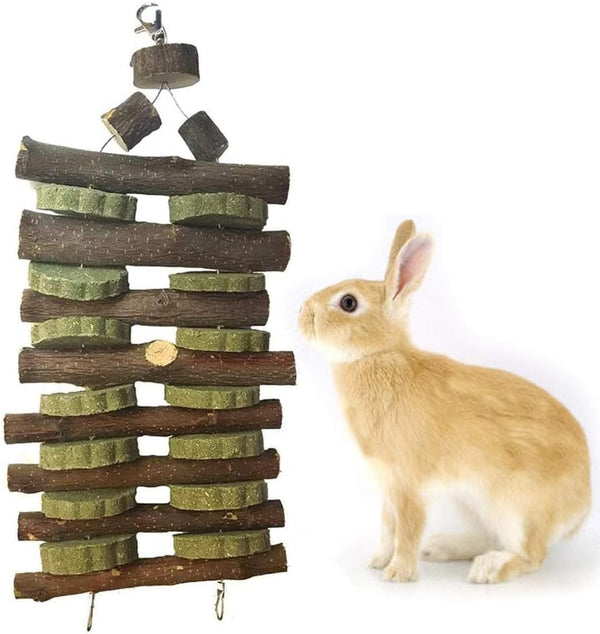 kathson Rabbit Bunny Chew Toys for Teeth, Natural Apple Wood Hanging Treats for Guinea Pigs, Chinchillas, and Rabbits