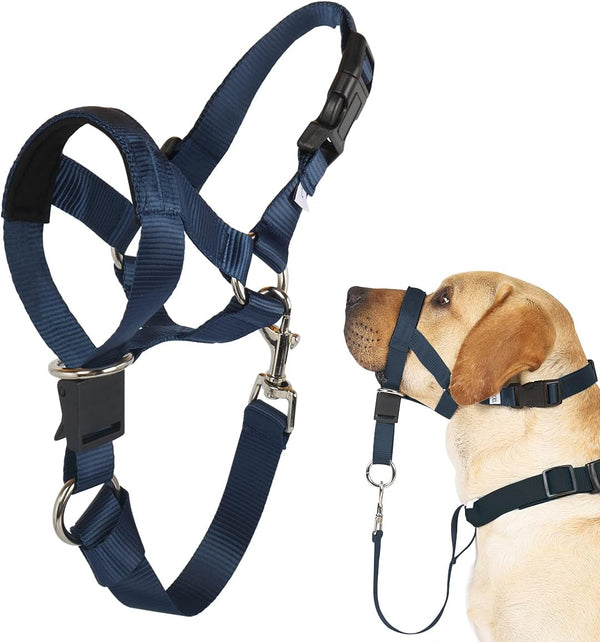 BARKLESS No-Pull Head Collar for Dogs, Soft Halter Harness with Expert Training Guide (M, Navy Blue)