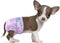 Disposable Female Dog Diapers, Puppy Diapers with Adjustable Elastic Waistline for Female