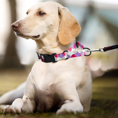 Martingale Dog Collars,Adjustable Soft Nylon Slip Collar Quick Release Buckle,No Pull Dog Training Collar for Large Medium Small Dogs