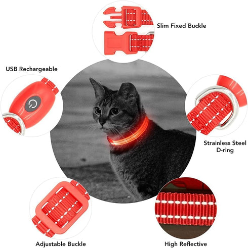 Light up Dog Collar for Small Dog,Vizpet XS Adjustable Size Nylon Collar USB Rechargeable Bright Safety Pet Collar for Cats Dogs (Red,XS)