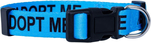 Native Pup Adopt Me Dog Collar - Large, Blue