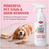 35 oz SKOUT'S HONOR Severe Mess Stain & Odor Eliminator, Powerful Stain Remover and Carpet Cleaner for Tough Dog