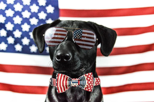 Elegant Little Tail Independence Day Dog Collar, July 4th American Flag Bowtie Collar for Small Dogs, Holiday Pet Gift