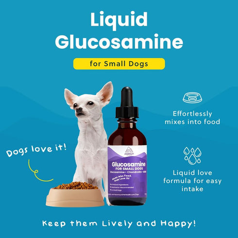 Liquid Glucosamine for Small Dogs, 260mg Joint Supplement for Mobility & Comfort, Easy-to-Use Liquid MSM & Chondroitin,