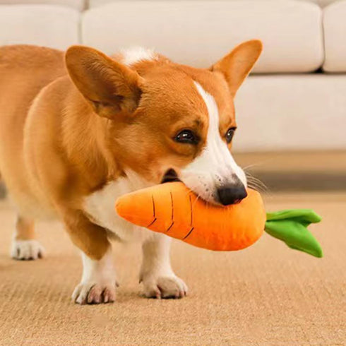 Tnyvm Pet Supplies Crinkle Dog Toy for Small, Medium, and Large Breeds, Cute Carrot with Soft Squeaker, Carrot Shape