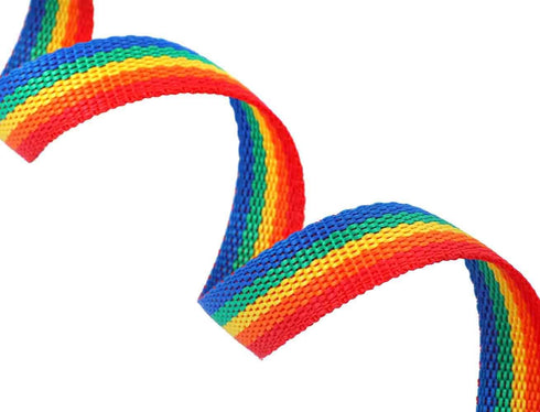AmaGood Dog/Puppy Obedience Recall Training Agility Lead, 30 ft Long Leash for Training, Recall, Safety (Rainbow)