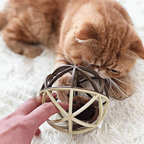 ALBOLET Cat Toy Ball, Cat Mouse Ball Cage, Squeak Mouse Toy, Cat Ball Toy for Fun and Play