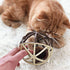ALBOLET Cat Toy Ball, Cat Mouse Ball Cage, Squeak Mouse Toy, Cat Ball Toy for Fun and Play