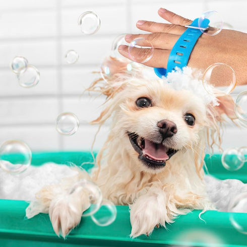 Dog Shower Attachment Kit - Pet Washing Hose Grooming Brush & Scrubber for Bathing Cats and Dogs, Easy Installation