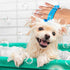 Dog Shower Attachment Kit - Pet Washing Hose Grooming Brush & Scrubber for Bathing Cats and Dogs, Easy Installation