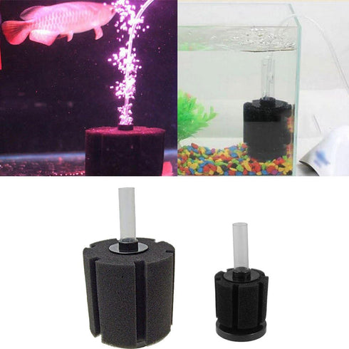 Aquapapa Bio Sponge Filter for Nano Fish Tank, Air Pump Driven Breeding Fry Betta Shrimp (Small)
