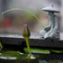 Mini Fisherman Figurine Sandstone Asian Aquarium Decorations Japanese Garden Ornaments, D