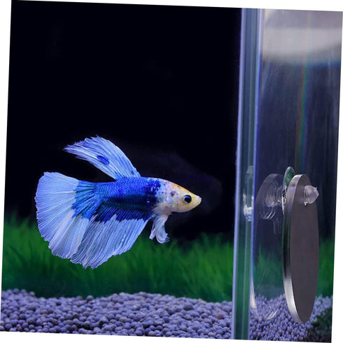 balacoo 1 Set Double Sided Acrylic Betta Training Mirror, Transparent Plastic Float Fish Tank