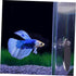 balacoo 1 Set Double Sided Acrylic Betta Training Mirror, Transparent Plastic Float Fish Tank