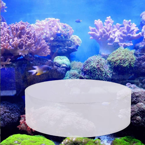 TOPINCN Aquarium Coral Viewer, Fish Acrylic Coral Observe Lens for Marine Aquarium Reef (150mm)