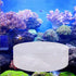 TOPINCN Aquarium Coral Viewer, Fish Acrylic Coral Observe Lens for Marine Aquarium Reef (150mm)