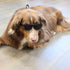 G006 Dog Medium Breeds 20-40 lbs Pet Cat 80s Costume Prop Sunglasses, Black