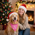 ZBBFSCSB I'm Going to Be A Big Sister Pink Dog Bandana, Pregnancy Announcement Gender Reveal Birthday Party Photoshoot